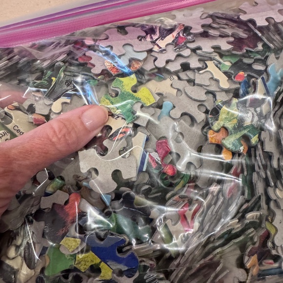 ❤️❤️ 3/$25 1000 Piece puzzle by White Mountain "Birds of the BackYard" - Picture 3 of 4